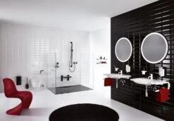 HEWI Serie 477 Brausehalterstange 110 Cm -DuschWelt Geschaft hersteller hewi serie 477 brausehalterstange 5714683