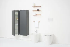 LAUFEN Kartell Einhand-Bidetarmatur -DuschWelt Geschaft hersteller laufen kartell armaturen bidet einhand 4888808